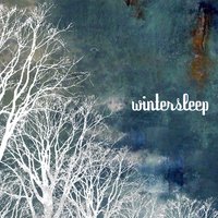 Assembly Lines - Wintersleep