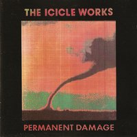 I Still Want You - The Icicle Works