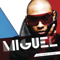 Quickie - Miguel