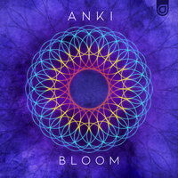 No More Promises - Anki