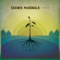 Waltz In 3 - Shawn McDonald