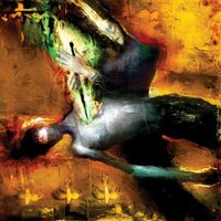 Insincerity As An Artform - Further Seems Forever