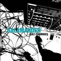 Salamander - Gaz Coombes