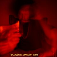 Walking On Fire - Rilan & The Bombardiers, Wankelmut