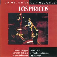 Nada Que Perder - Los Pericos
