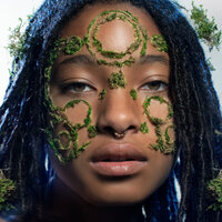 WILLOW