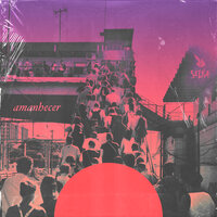 Amanhecer - Selva