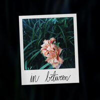 in between - Lando