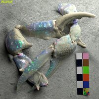 Let You Know - Flume, London Grammar