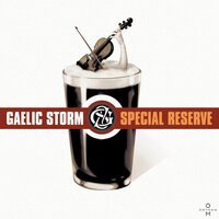 Johnny Jump Up/Morrison's Jig - Gaelic Storm