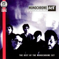 B.I.D. Spells Bid - The Monochrome Set