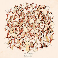 Hi Life - Syd Matters