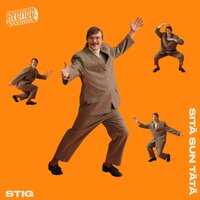 Sitä sun tätä - STIG