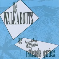 The Walkabouts