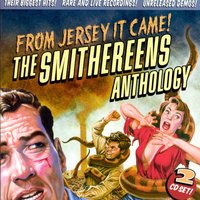 Top Of The Pops (Fade) - The Smithereens
