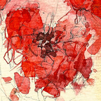 Little Flower - Peter Bradley Adams, Alias Chamber Ensemble
