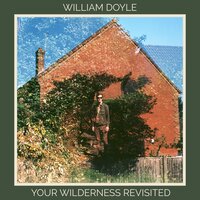 Design Guide - William Doyle, Brian Eno