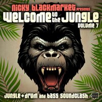 Catch Me Here - Drumsound & Bassline Smith, Conor Maynard