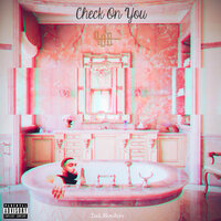 Check on You - Sal Houdini