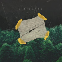 Liberated - NIVE