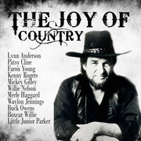 Burning Memories - Waylon Jennings