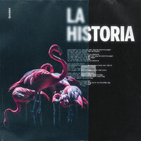 La Historia - Basim
