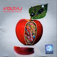 Povestea Oricui / Anybody's Story - Voltaj