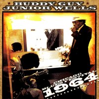 Out of Site - Buddy Guy, Junior Wells