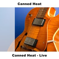 Kings Of The Boogie - Live - Canned Heat