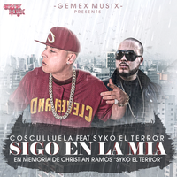 Sigo en la Mia - Cosculluela, Syko El Terror, Gemex Musix