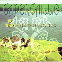 Soraidh Bhuam Gu Barraidh - Capercaillie