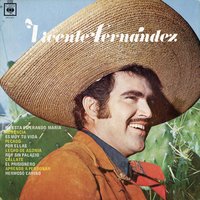 Hermoso Cariño - Vicente Fernandez