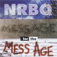 Designated Driver - NRBQ