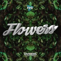 Flowers - Diviners, Dom Robinson