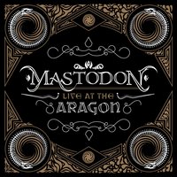 The Bit - Mastodon