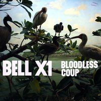 Amsterdam Says - Bell X1