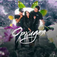 Орхидея - Gidayyat, Gazan