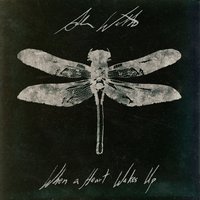 Swallowing Light - Adam Watts