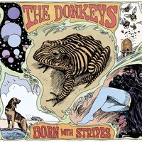 I Like The Way You Walk - The Donkeys