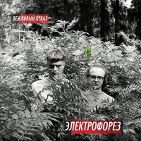 Вежливый отказ - Электрофорез