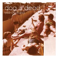 A Motel - D.I.D.