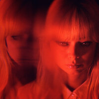 Petals - Chromatics