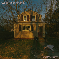 Hate Mail - Weakened Friends, J Mascis