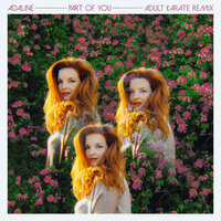 Part of You - Adaline, Adult Karate