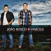 Porque fui te amar assim - João Bosco, Vinicius