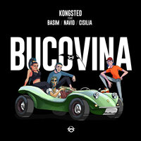 Bucovina - Kongsted, Basim, NAVID