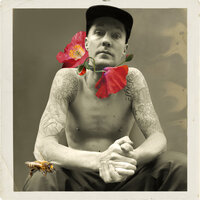 Summer They Say - Drapht