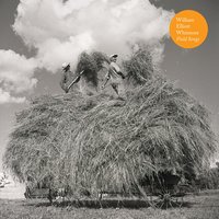 Don't Need It - William Elliott Whitmore