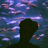 Под воду - Josodo