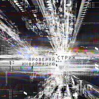Проверяй информацию - Стриж